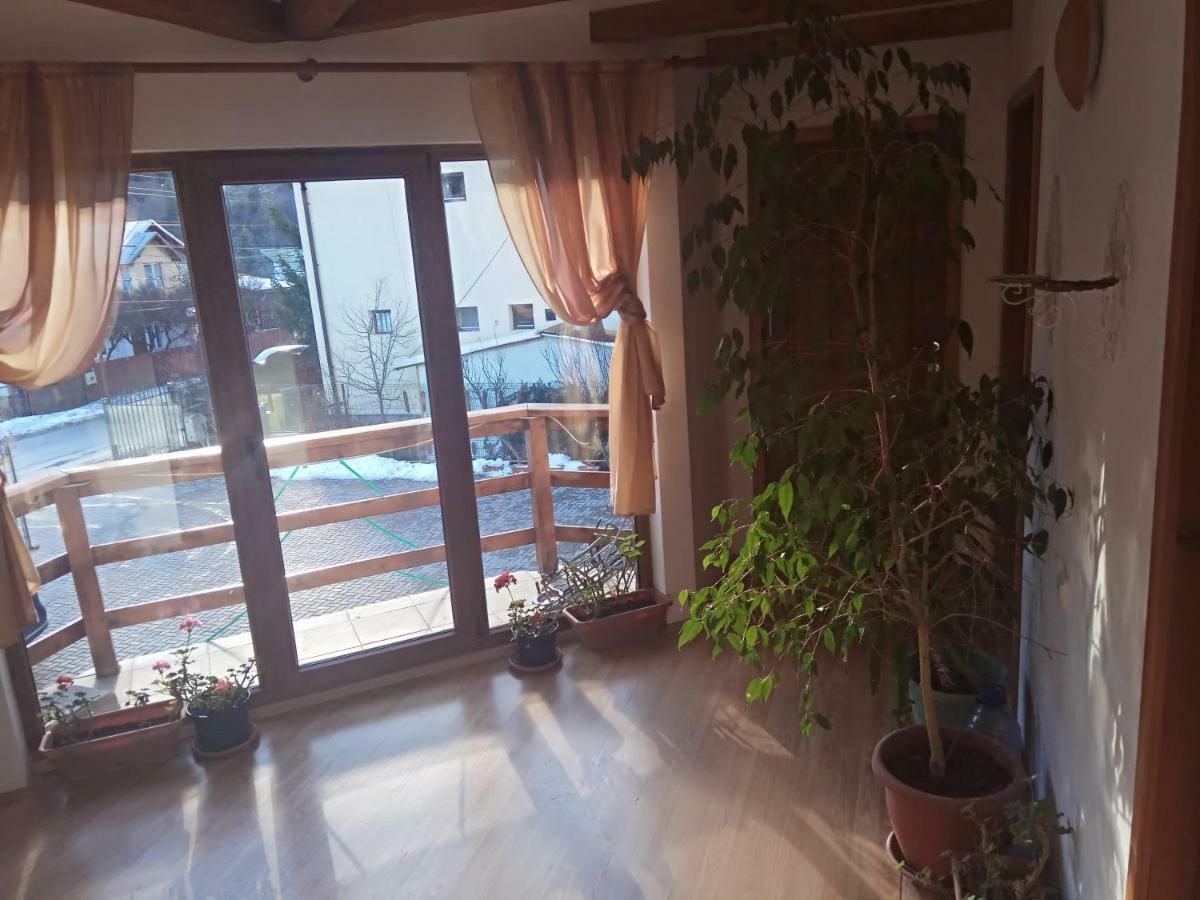 Casa Alexandru Hotel Azuga Kültér fotó