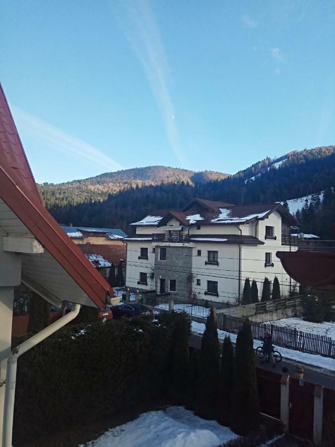 Casa Alexandru Hotel Azuga Kültér fotó